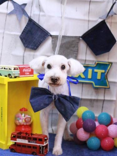 20230408まろんくん